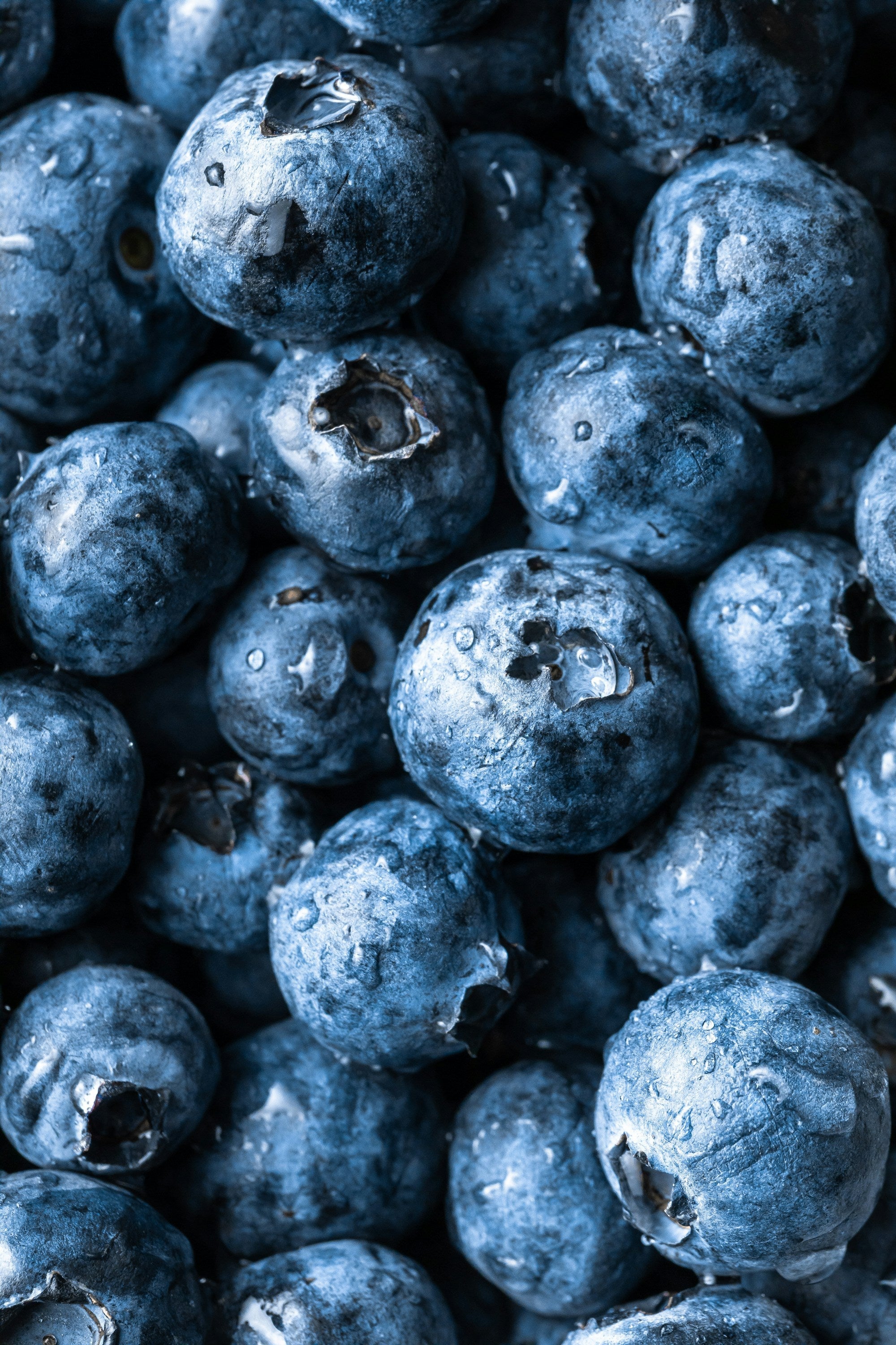 Fresh & Frozen Produce
