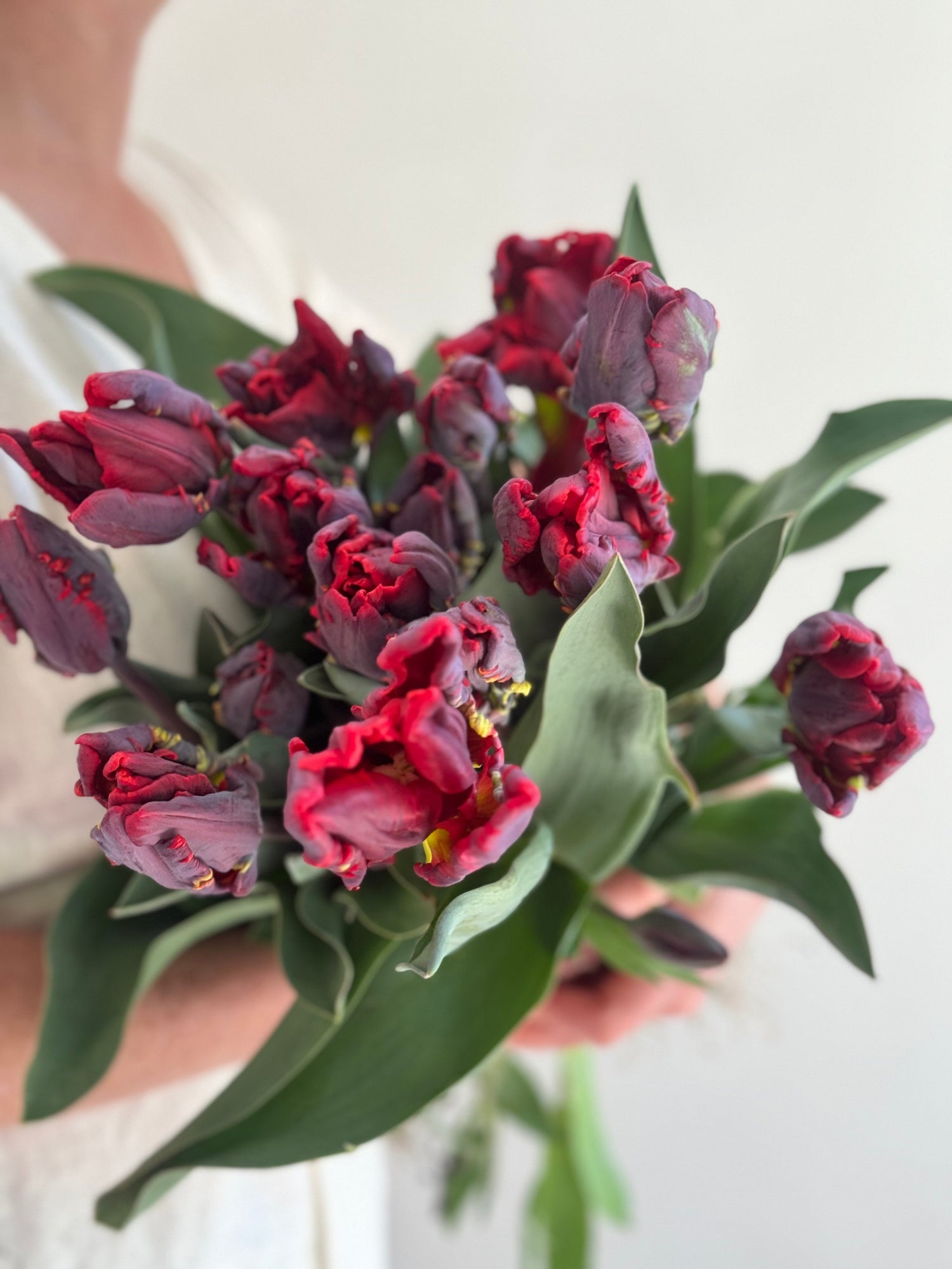 Cut Flowers