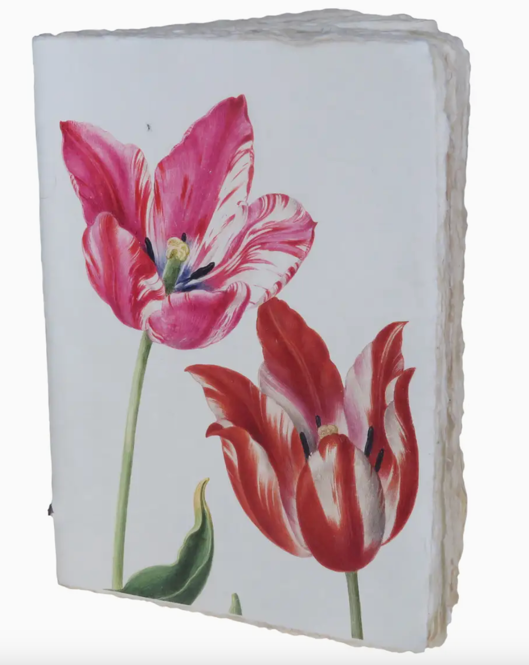 Tulip Note Book