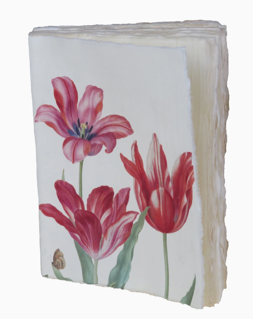 Tulip Note Book