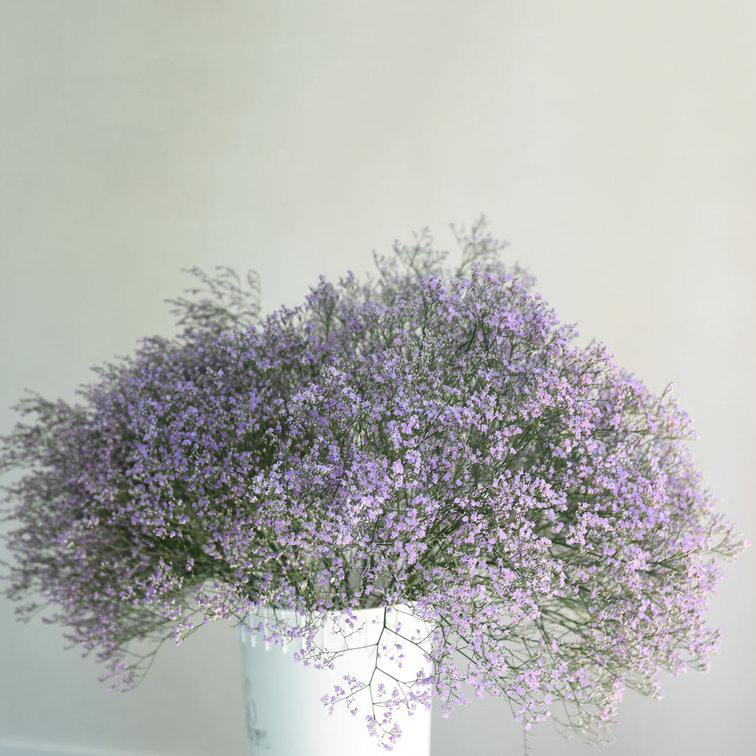 Sea Lavender - Blue