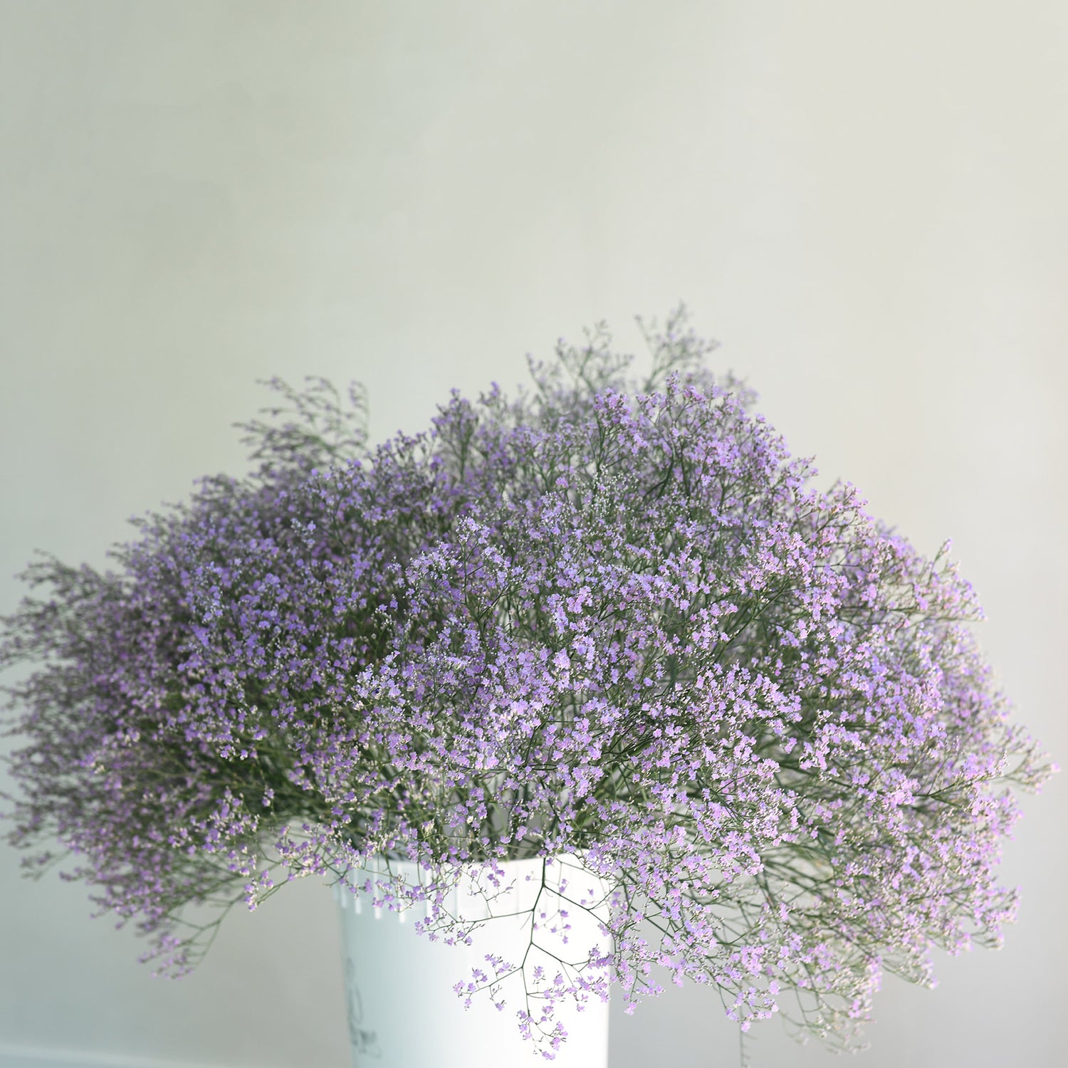 Sea Lavender - Blue